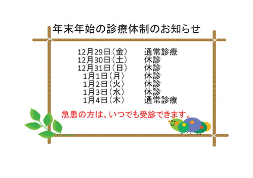 年末年始の診療体制のお知らせ.jpgのサムネイル画像のサムネイル画像